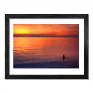 Nua Photography Print Sutton Swimmer