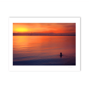 Nua Photography Print Sutton Swimmer